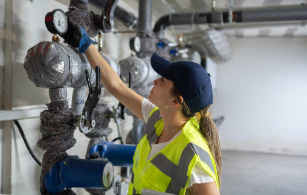 Best Drain Cleaning Services  in Halls, TN